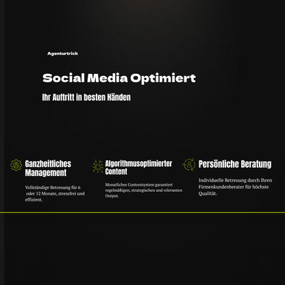 Grafik mit Titel „Social Media Optimiert“ und drei Leistungsbereichen: Management, algorithmusoptimierter Content und persönliche Beratung im Agenturtrick Corporate Design.
